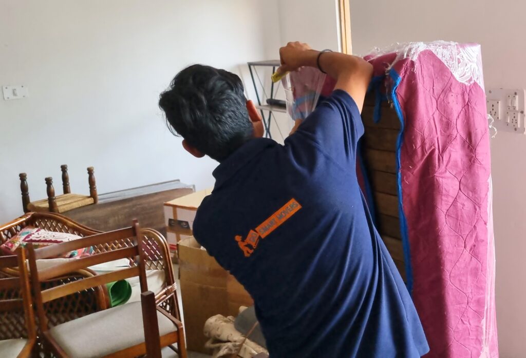 Professional Packing and  moving services by GoSmart Movers